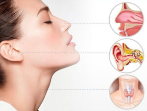 Dr. Anjali Chaudhary